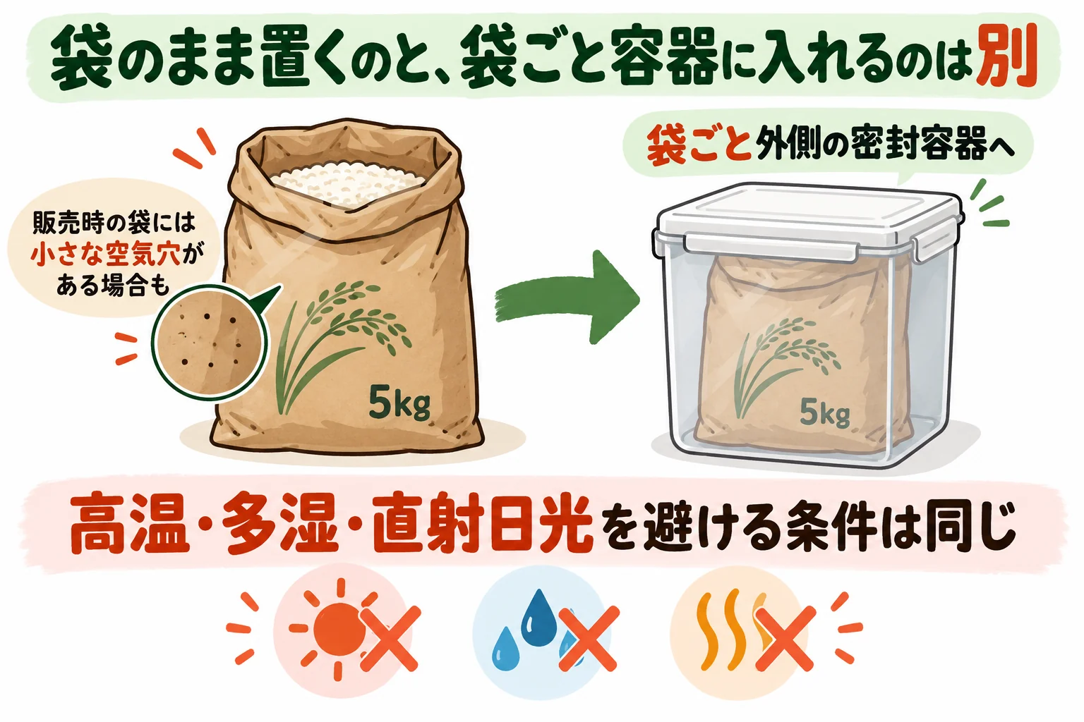 米袋をそのまま置くことと、袋ごと密封容器へ入れることの違い
