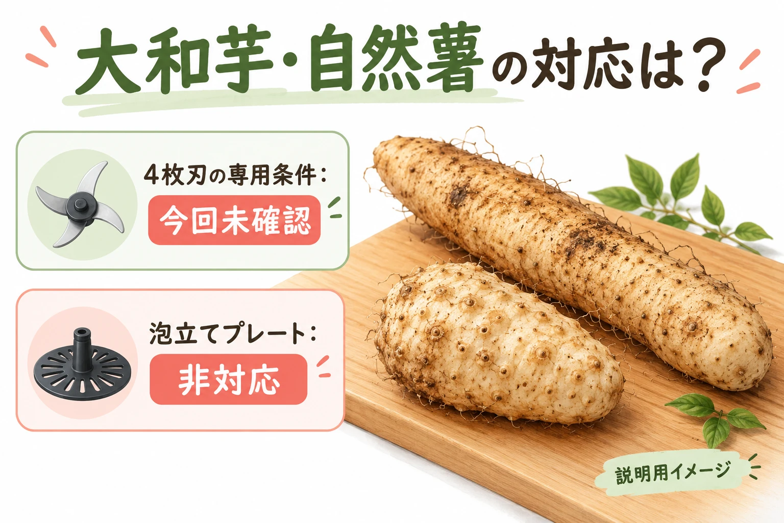 4枚刃の専用条件は未確認・泡立ては非対応(説明用の生成イメージ)